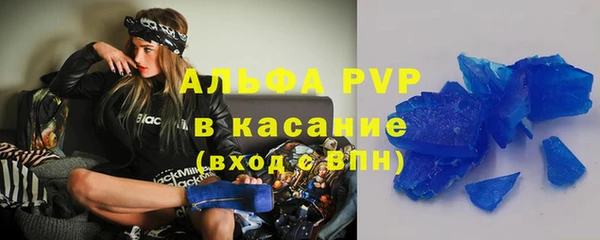 a pvp Бородино