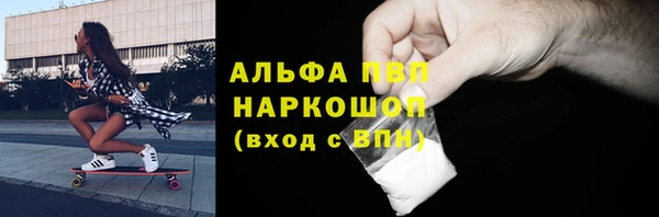 a pvp Бородино