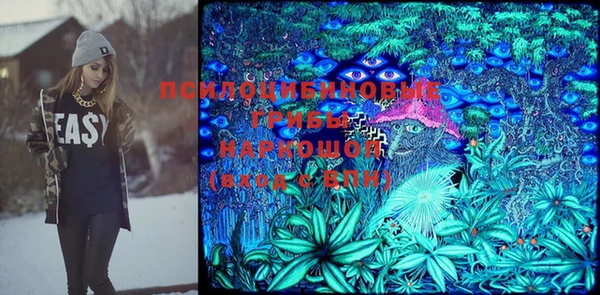 a pvp Бородино