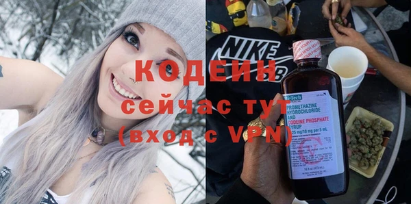 a pvp Бородино