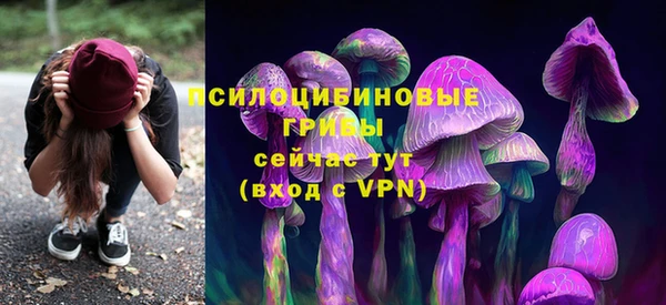 винт Бугульма