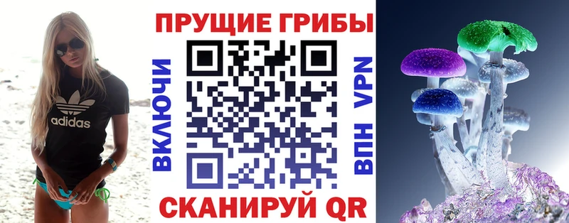 Купить Саяногорск Галлюциногенные грибы прущие грибы